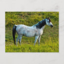Search for colfax postcards Farm