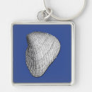Search for beach shells keychains Summer