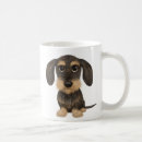 Recherche de sanglier tasses Chien