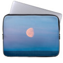 Search for outside cases Nobody