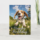 Search for happy birthday beagle From the dog