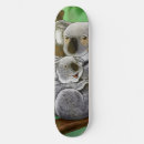 Search for koala skateboards Cute