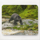 Search for cathy mousepads British columbia