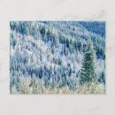 Search for large format postcards Frost