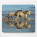 Recherche de camargue tapis souris Ferme