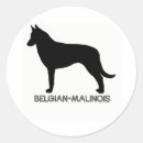 Recherche de malinois autocollants Dog