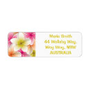 Search for frangipani return address labels Hawaii