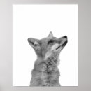Search for fox wall decor posters Modern