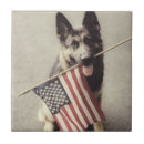 Recherche de chien berger carreaux Animal