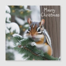Search for chipmunks christmas cards Animal