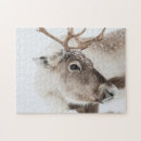 Recherche de rennes puzzles Rudolph