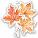 Search for maple wood stickers Trees