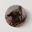 Recherche de caniche badges Animal