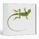 Search for lizard binders Animal