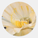 Search for hybrid stickers Bloom