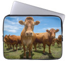 Search for grass laptop cases Livestock