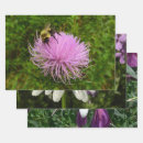 Recherche de chardons papier cadeau Fleurs