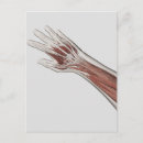 Search for human hand postcards Biomedical illustrations