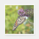 Search for monarch butterfly napkins Floral