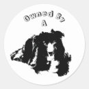 Search for border collie stickers Dog