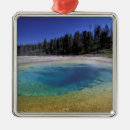 Search for yellowstone national park ornaments Geyser