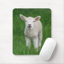 Search for lamb electronics Cute