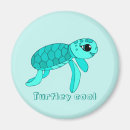 Search for turtled magnets Baby turtle