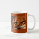 Search for bengal kitten mugs Kitty