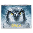 Search for owl calendars Nature