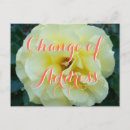 Recherche de fleur simple cartes postales Changement d'adresse