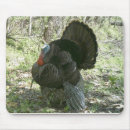 Search for turkeys mousepads Outdoors