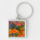 Search for spotted square keychains Orange