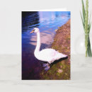 Search for countryside christmas cards Nature