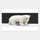 Search for polar bear cub stickers Snow