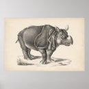 Search for rhino art Wildlife