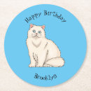 Search for persian coasters Cat