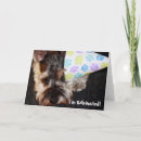 Search for miniature schnauzer birthday cards Animal