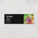 Recherche de cheetah cartes visite Animal