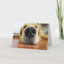 Search for sick dog get well cards Surgery