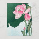 Search for flower bloom postcards Nature