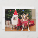 Search for boston terrier cards Portrait