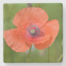 Search for poppy coasters Feminine