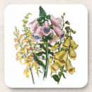 Recherche de fleur de digitale maison deco Botanique