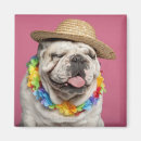 Search for straw magnets Dog