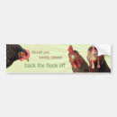 Search for funny chicken bumper stickers Hen