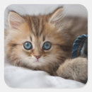 Search for looking at camera stickers Close up