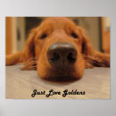 Search for noses posters Dog
