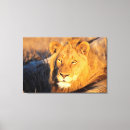 Search for looking at camera canvas prints Front view