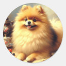 Search for pomeranian art stickers Dog