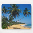Search for greg mousepads Beach
